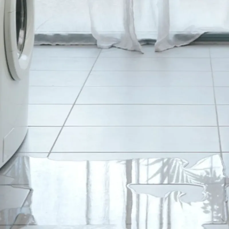 Appliance Leak Cleanup in Mescal, AZ