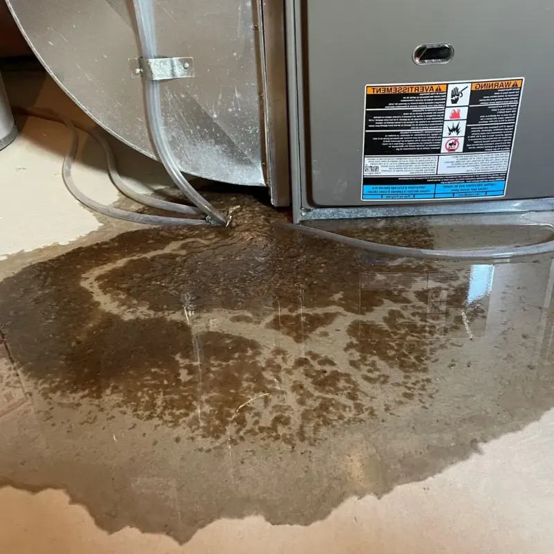 Pipe Burst and Leak Restoration in Mescal, AZ